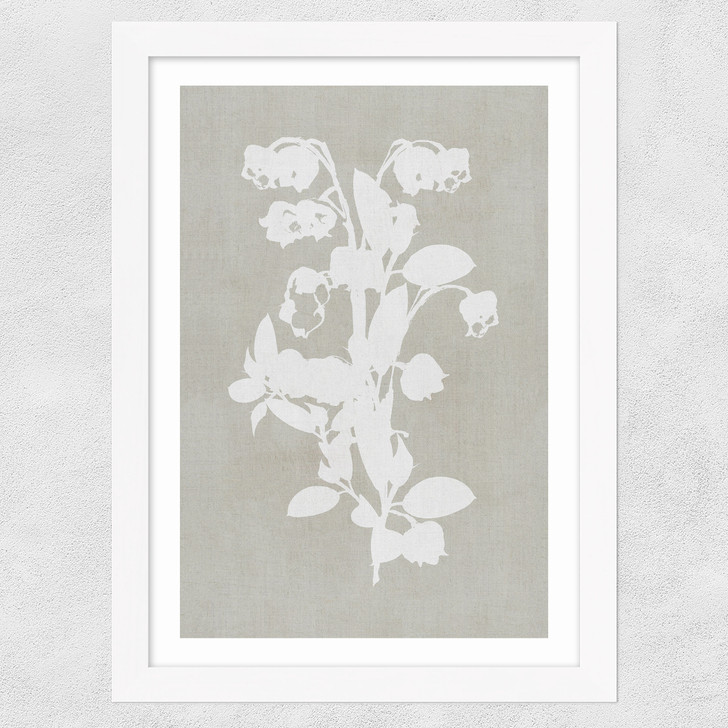 Botanical Illustration IV Wide White Frame
