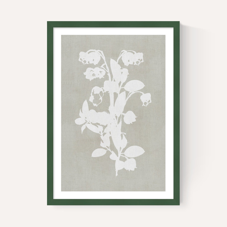 Botanical Illustration IV