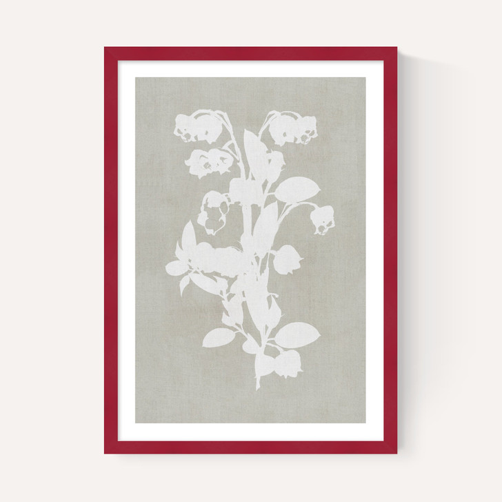 Botanical Illustration IV