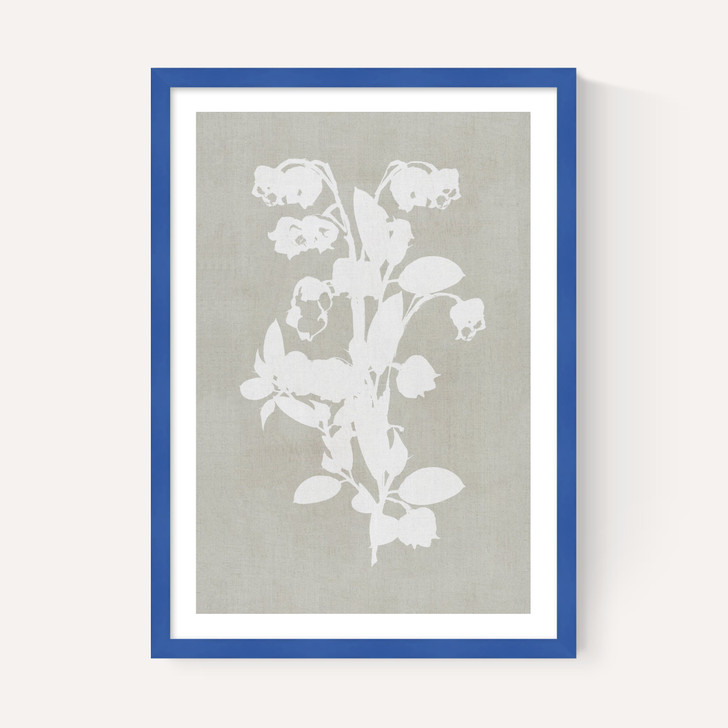 Botanical Illustration IV