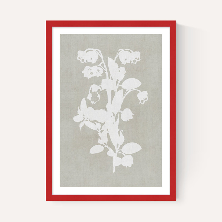Botanical Illustration IV