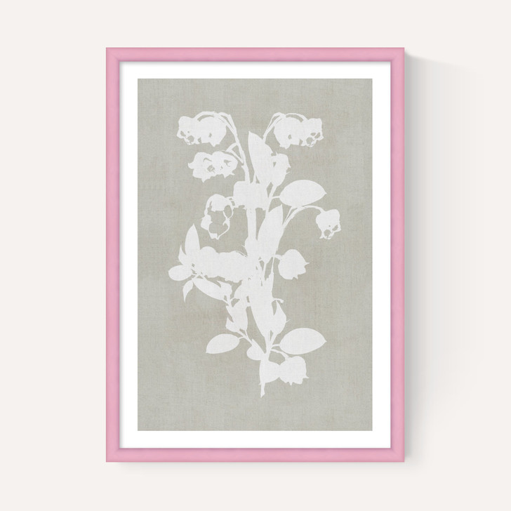 Botanical Illustration IV