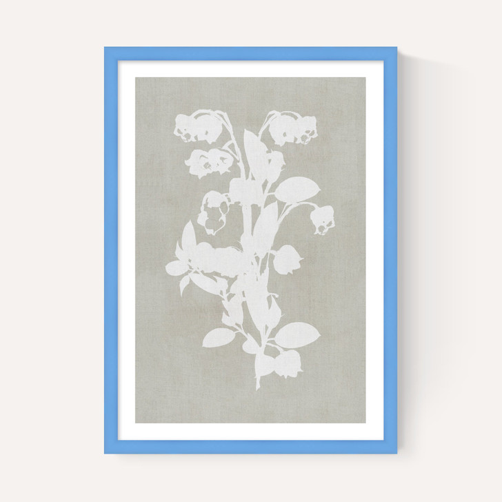 Botanical Illustration IV