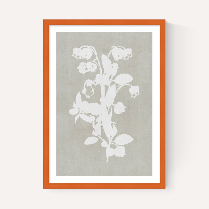 Botanical Illustration IV