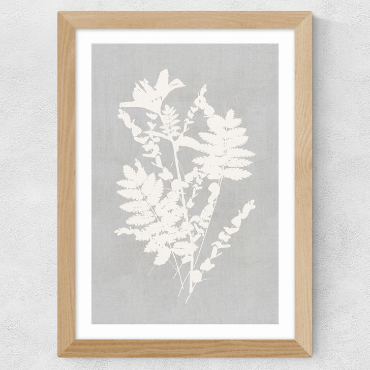 Botanical Illustration V Wide Oak Frame