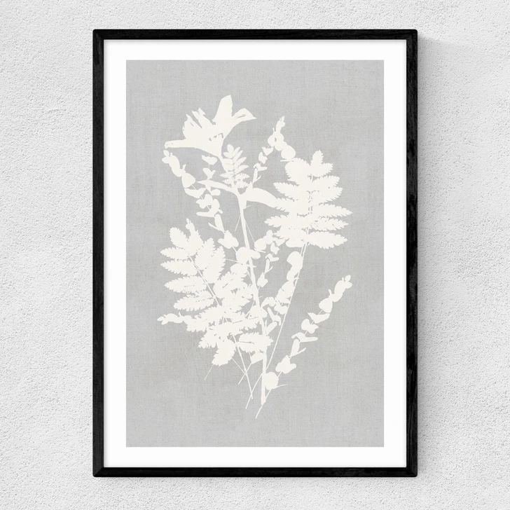 Botanical Illustration V Narrow Black Frame
