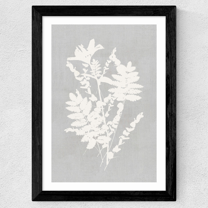 Botanical Illustration V Wide Black Frame