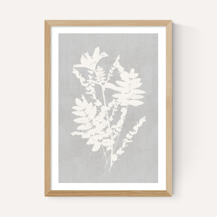 Botanical Illustration V
