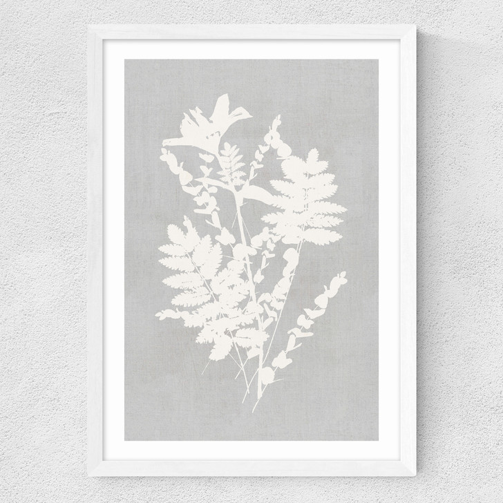 Botanical Illustration V Medium White Frame