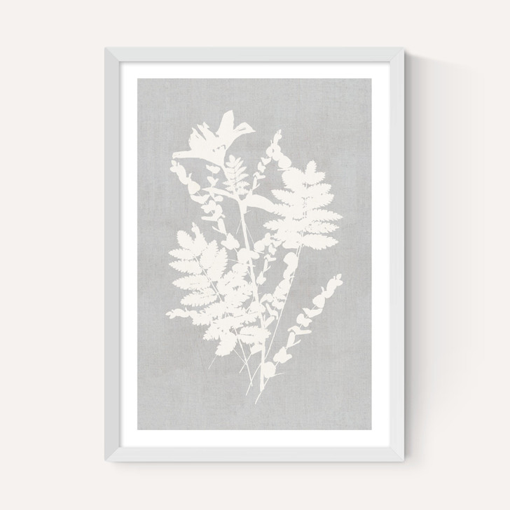 Botanical Illustration V
