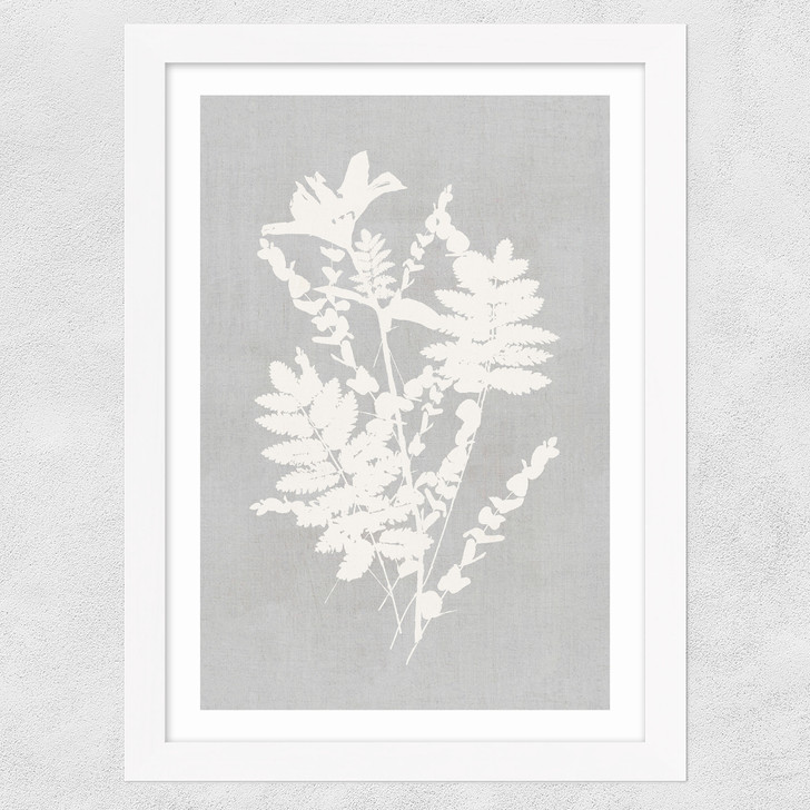 Botanical Illustration V Wide White Frame