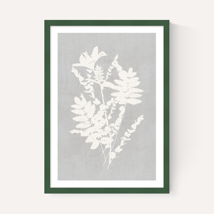 Botanical Illustration V