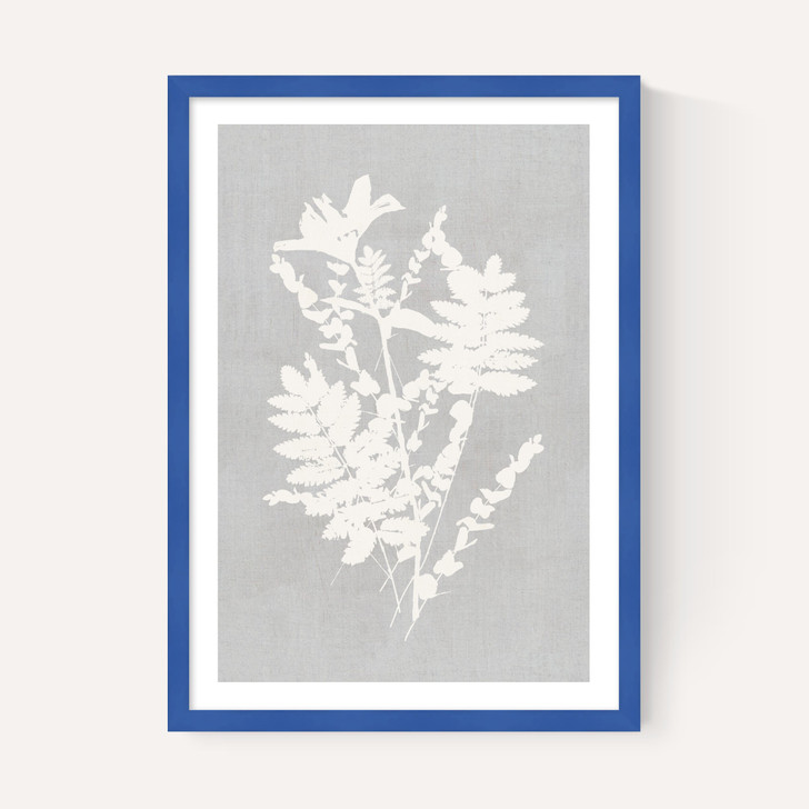 Botanical Illustration V