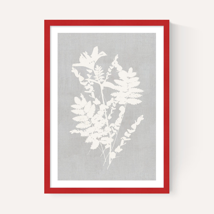 Botanical Illustration V