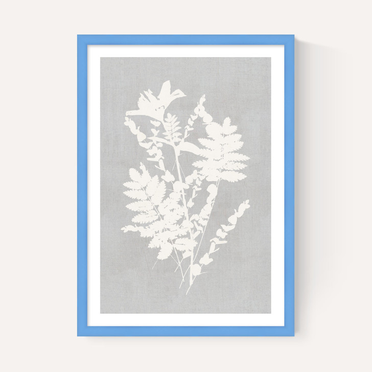 Botanical Illustration V