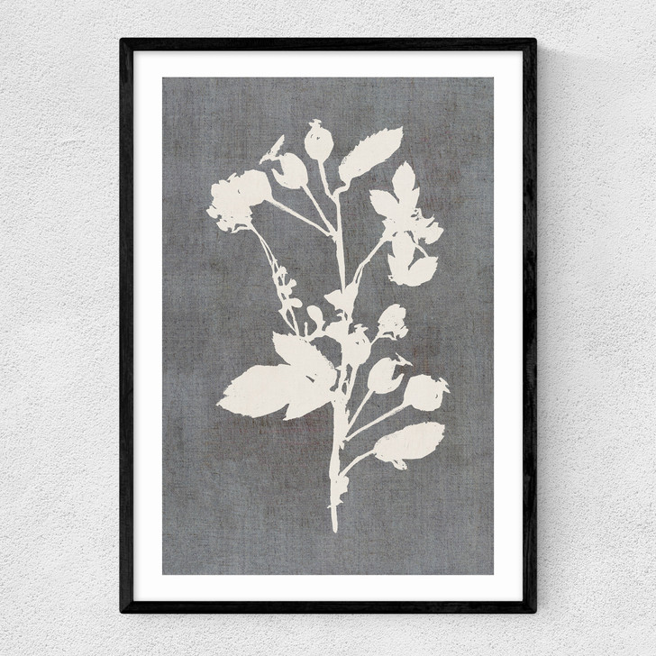 Botanical Illustration VI Narrow Black Frame