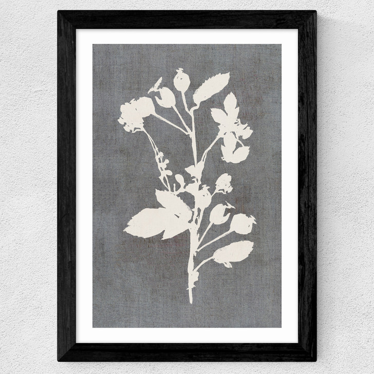 Botanical Illustration VI