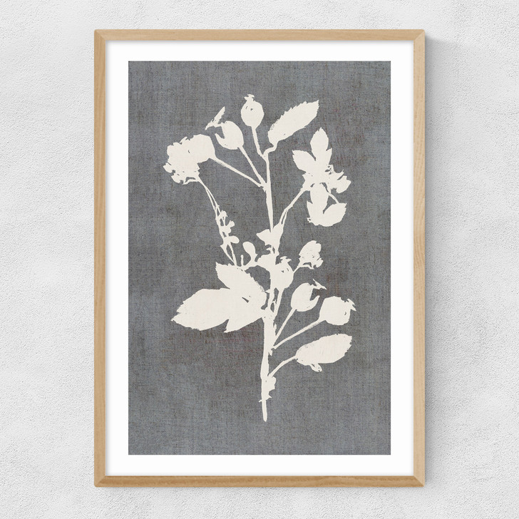 Botanical Illustration VI