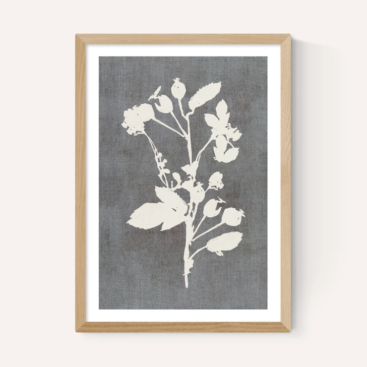 Botanical Illustration VI