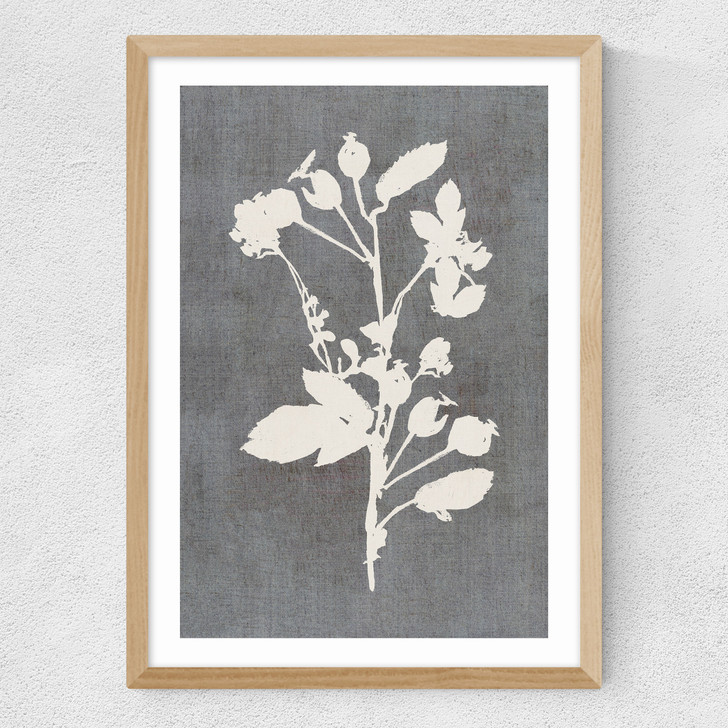 Botanical Illustration VI Medium Oak Frame