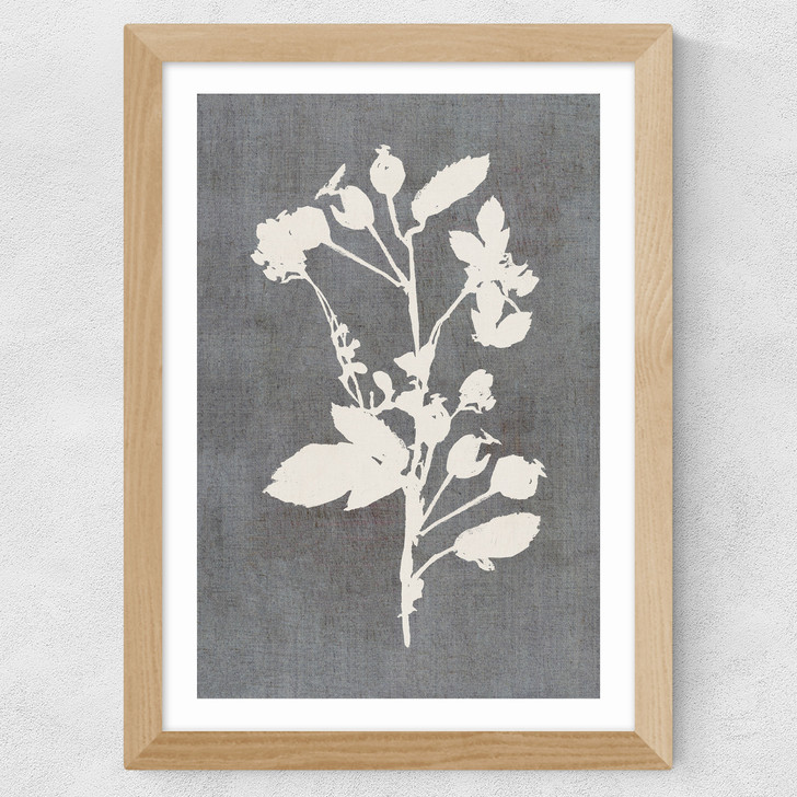 Botanical Illustration VI