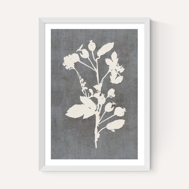 Botanical Illustration VI