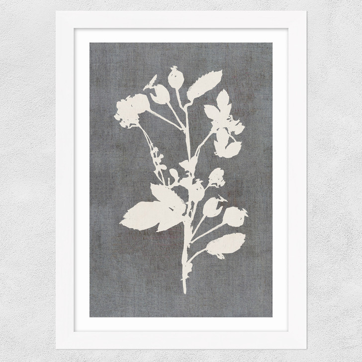 Botanical Illustration VI