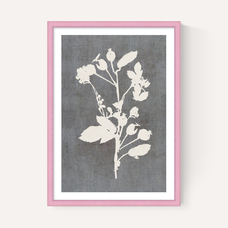 Botanical Illustration VI