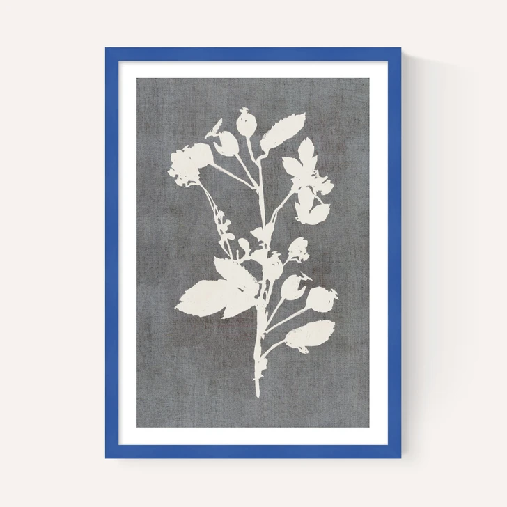 Botanical Illustration VI