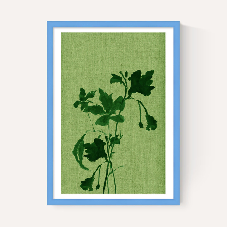 Terre Verte I