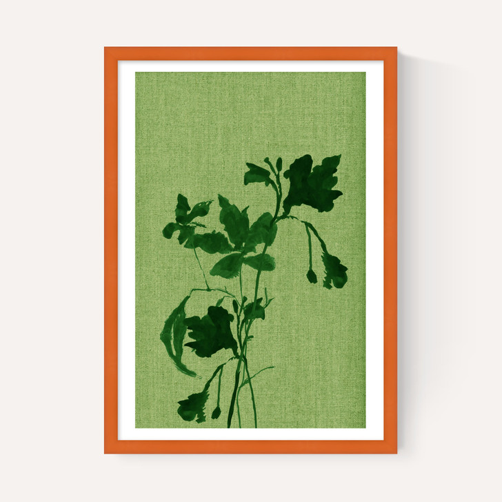 Terre Verte I