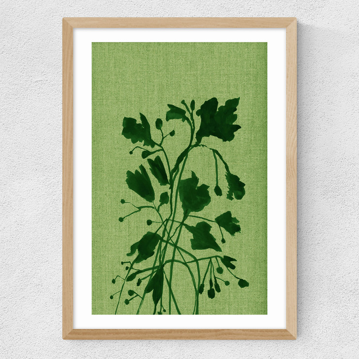 Terre Verte II Medium Oak Frame Terre Verte II Medium Oak Frame