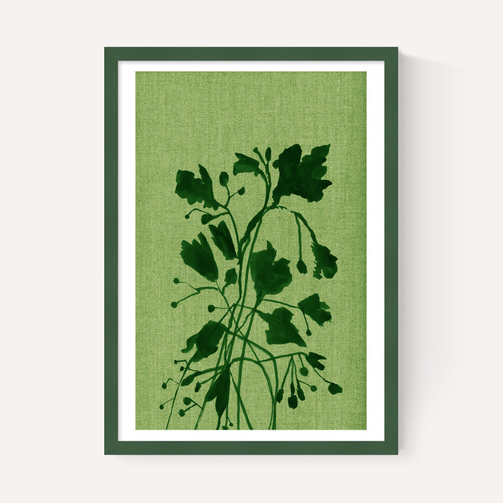 Terre Verte II