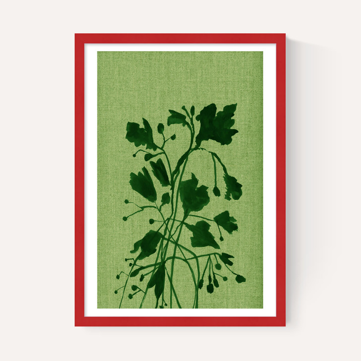 Terre Verte II