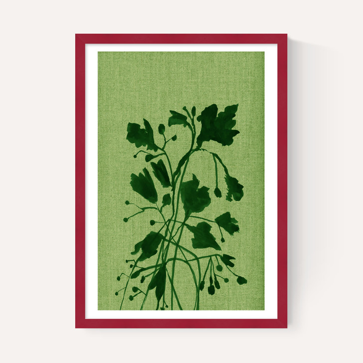 Terre Verte II
