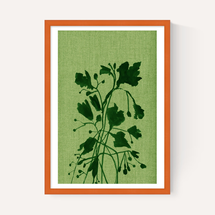 Terre Verte II