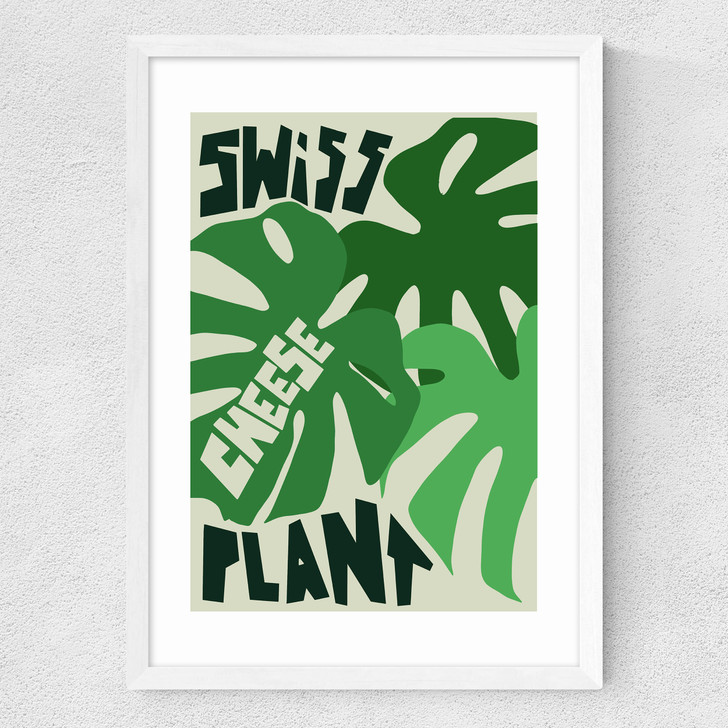 Swiss Cheese Plant Medium White Frame