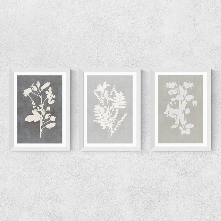 botanical illustration triptych art print set by cartissi in white frame