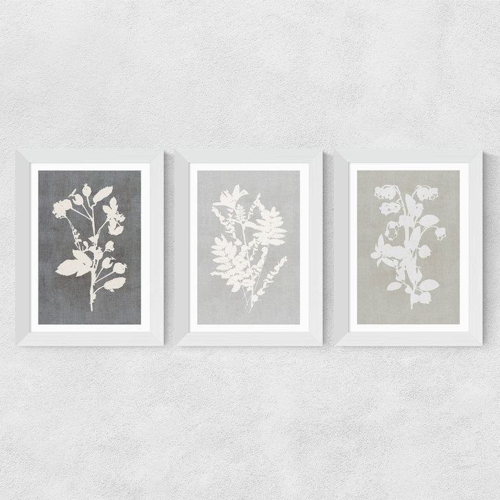 Botanical Illustration Triptych Wide White Frame
