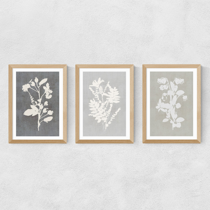 Botanical Illustration Triptych Medium Oak Frame