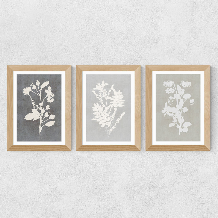 Botanical Illustration Triptych Wide Oak Frame