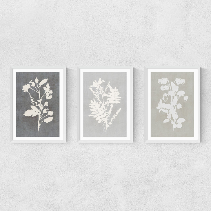 Botanical Illustration Triptych Narrow White Frame