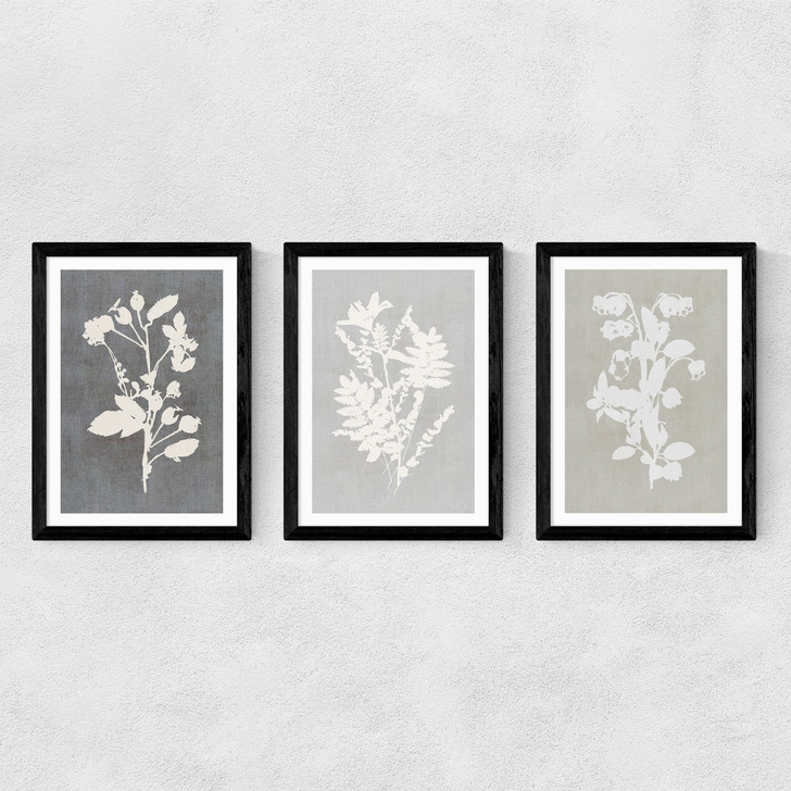 Botanical Illustration Triptych Medium Black Frame