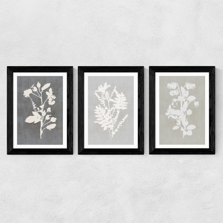 Botanical Illustration Triptych