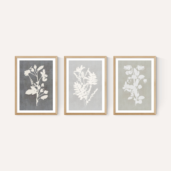 Botanical Illustration Triptych
