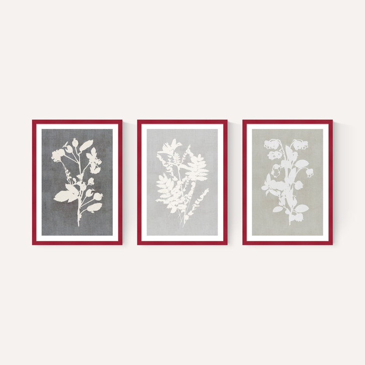 Botanical Illustration Triptych