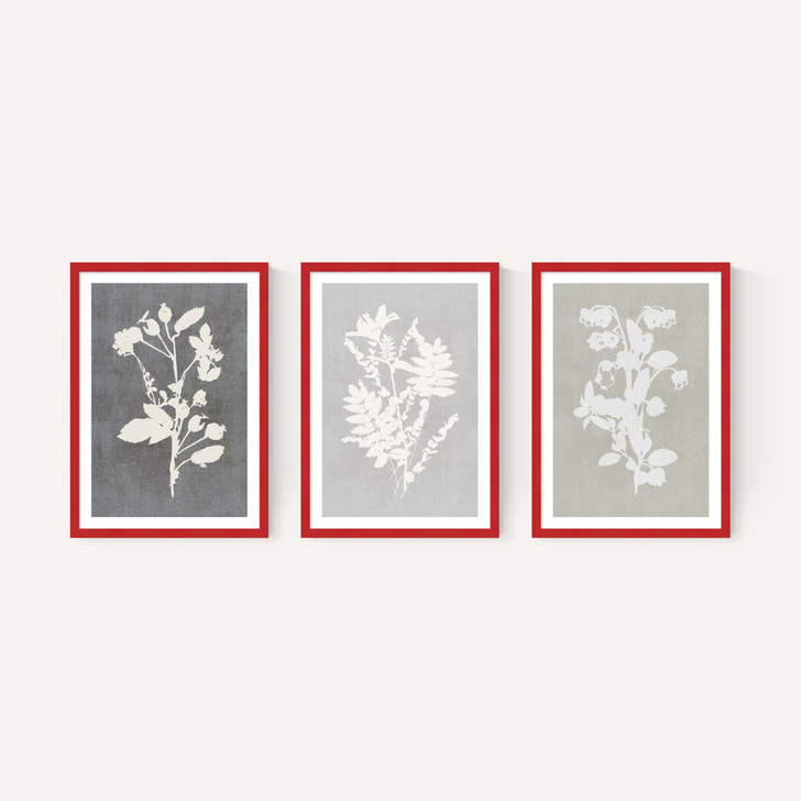 Botanical Illustration Triptych