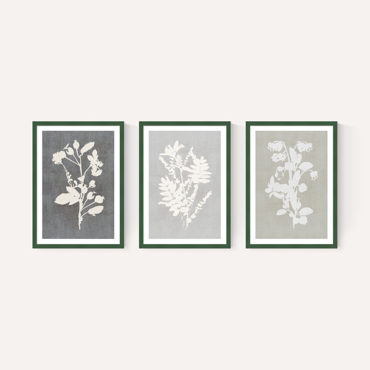 Botanical Illustration Triptych