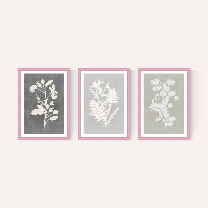 Botanical Illustration Triptych