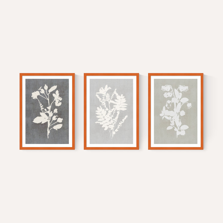 Botanical Illustration Triptych